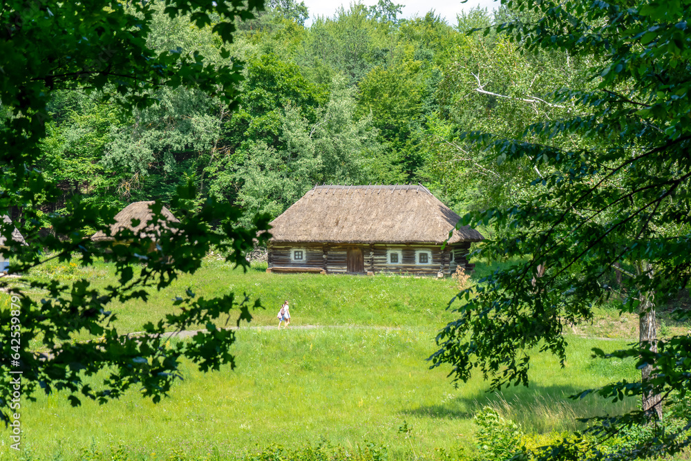 Obraz premium Summer landscape of traditional Ukrainian village