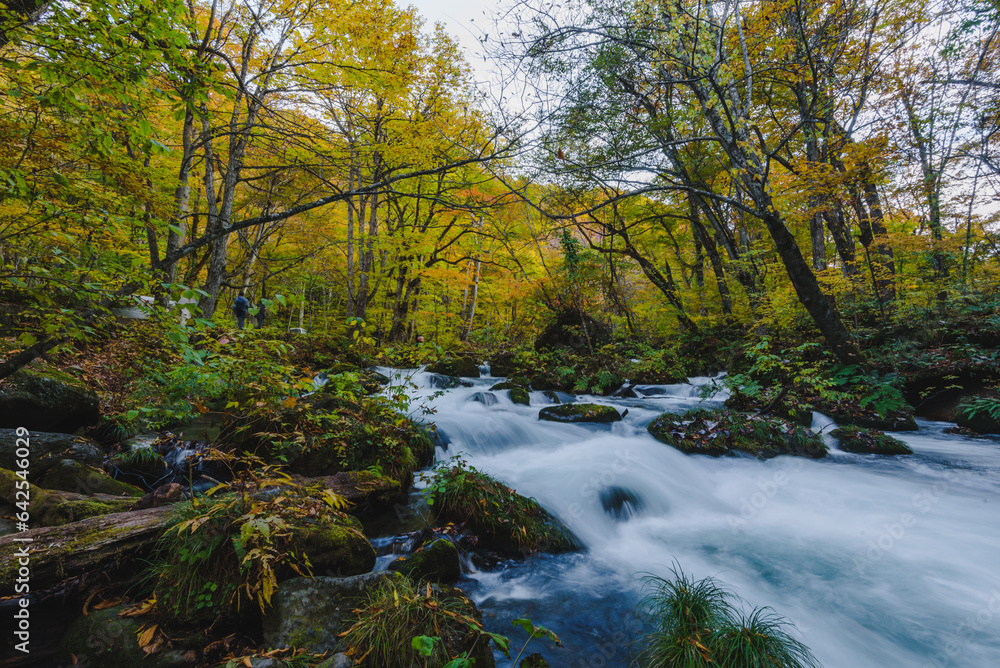 waterfall in autumn at Oirase stream waterfall in autumn at Oirase stream