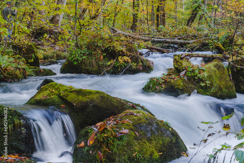 waterfall in autumn at Oirase stream