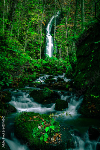waterfall in the forest at Oirase stream