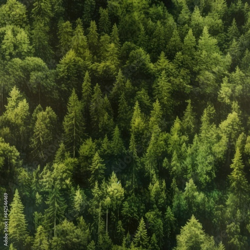 Top view of the green forest © cherezoff
