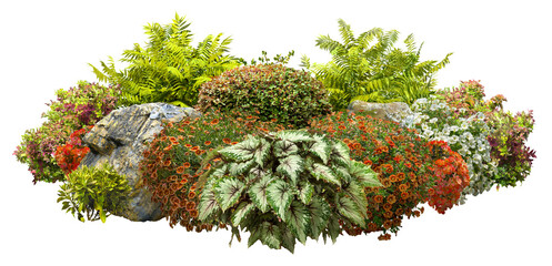 Cutout garden design. Flower bed isolated on transparent background. Flowering shrub and green plants for landscaping. Decorative shrub and boxwood hedge