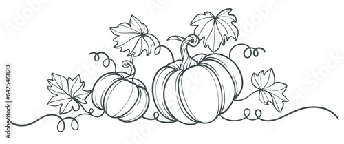 Pumpkin line art style vector illustration, thanksgiving, autumn, halloween element design
