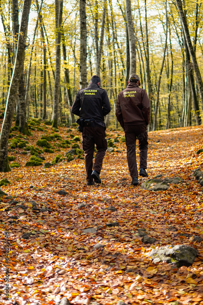 two rural agent working in the forest for the safety and ecology of nature. environmental protection professional guard. Save the planet two rural agent working in the forest for the safety and ecology of nature. environmental protection professional guard. Save the planet