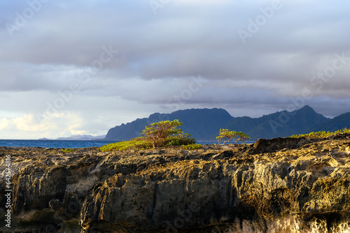 Laie Point early morning landscape