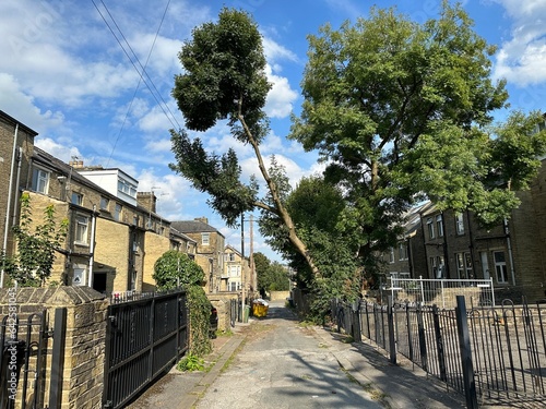 Back street with Victorian houses, a waste skip, and overhanging trees near,  Bertram Road, in the post industrial city of, Bradford, UK © derek oldfield