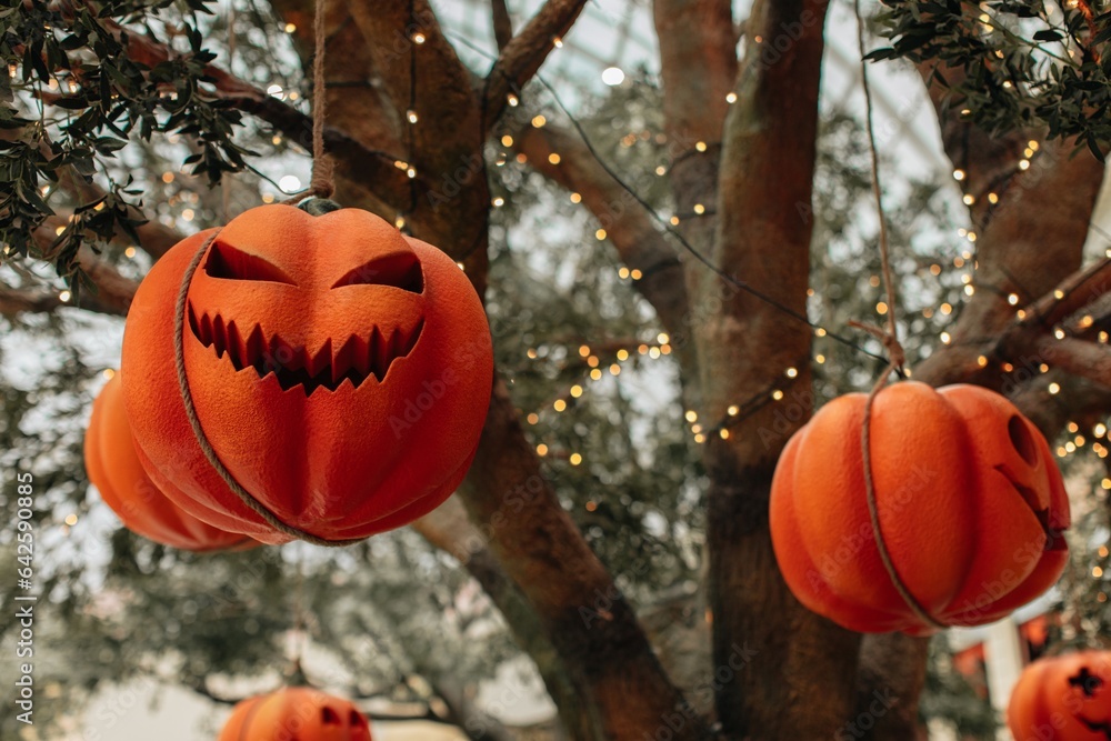 Orange pumpkin with a scary Halloween face hanging on a tree with twinkling garlands. Halloween party concept. Close up