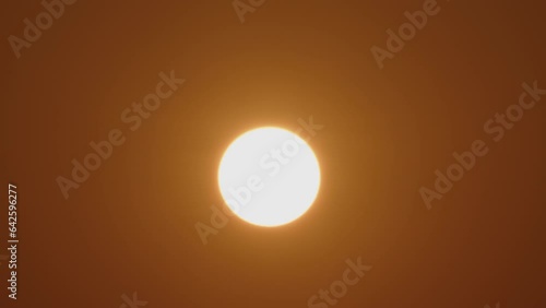 Beautiful silhouette of an eagle bird flying in slow motion against the background of a solar disk on the horizon. Freedom concept