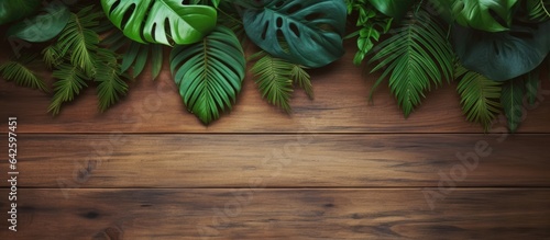 Bird s eye view of plant on...