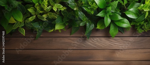 Bird s eye view of plant on...