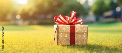 Christmas gift box on lawn ...