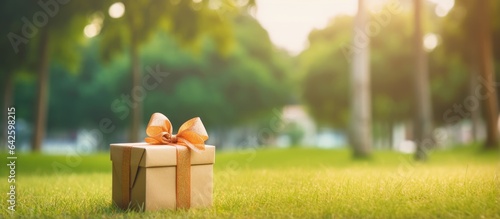 Christmas gift box on lawn ...