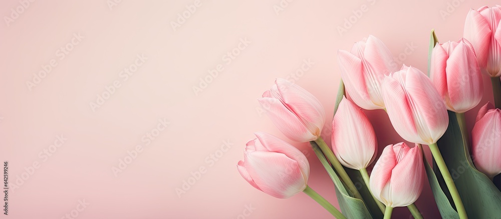 Creative concept for International Mother and Family Day Pink tulip flower arrangement