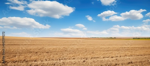 Crop field with wheat and c...