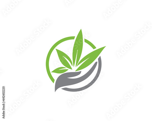 Cannabis logo