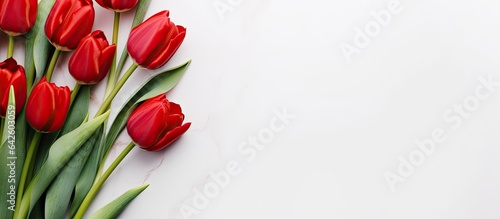 Red tulips on white background perfect for flower shops with space for text