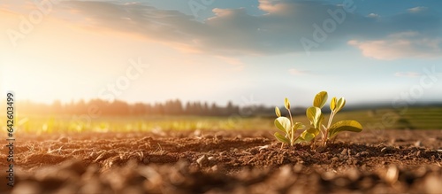 Selective focus on arable l...