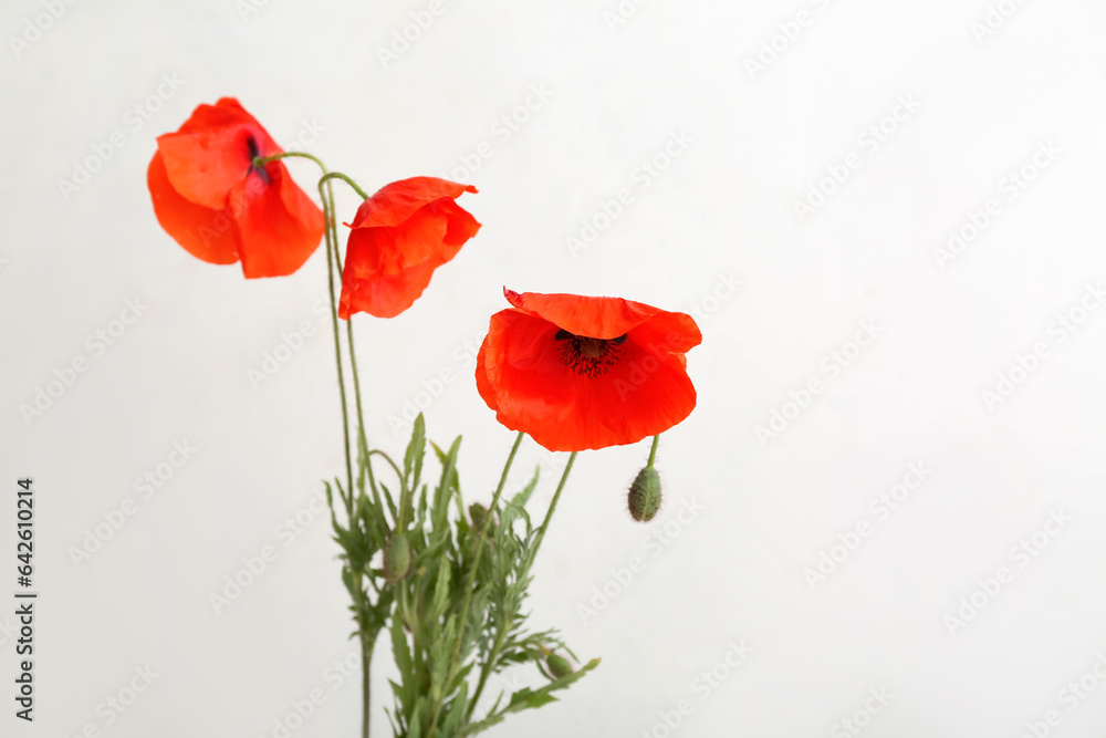 Obraz premium Beautiful poppy flowers on light background, closeup. Remembrance Day