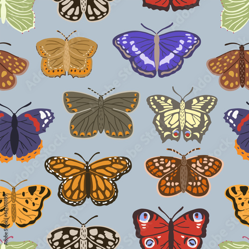 Seamless pattern butterfly. Summer insects background. photo