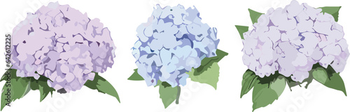 Sweet Flower Branch: Delicate Floral Illustrations for Your Creative Projects