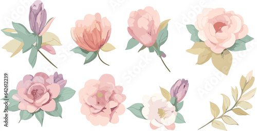 Sweet Flower Branch: Delicate Floral Illustrations for Your Creative Projects