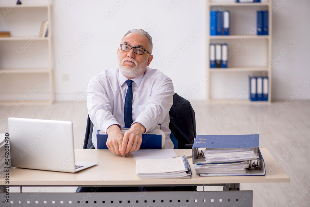 Old male employee working in the office Old male employee working in the office