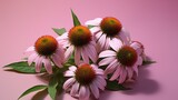 Aromatic Echinacea Herbs Photorealistic Horizontal Illustration. Healthy Vegetarian Diet. Ai Generated bright Illustration with Delicious Aromatic Echinacea Herbs.
