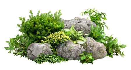 Cutout rock surrounded by flowers. Garden design isolated on transparent background. Flowering shrub and green plants for landscaping. Decorative shrub and flower bed
