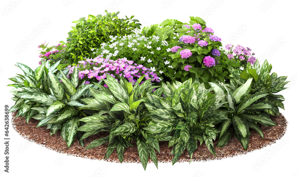 Cutout flower bed. Garden design isolated on transparent background. Flowering shrub and green plants for landscaping. Decorative hedge
Cutout flower bed. Garden design isolated on transparent background. Flowering shrub and green plants for landscaping. Decorative hedge