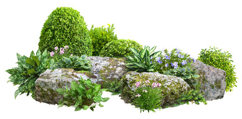 Cutout rock surrounded by flowers. Garden design isolated on transparent background. Flowering shrub and green plants for landscaping. Decorative shrub and flower bed