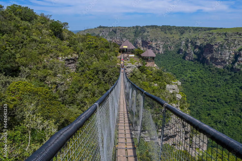 Obraz premium Lake Eland Nature reserve in Oribi gorge with a hanging suspension bridge