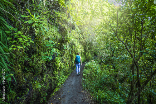 Backpacker toursit walking along green rainforst hike trail overgrown with plants. Levada of Caldeirão Verde, Madeira Island, Portugal, Europe.