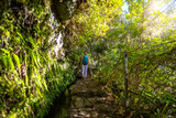 Backpacker toursit walks along sunny rainforst water channel hike trail overgrown with trees. Levada of Caldeirão Verde, Madeira Island, Portugal, Europe.