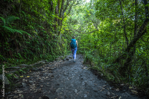 Wallpaper Mural Backpacker toursit walking along green rainforst water channel trail overgrown with plants. Levada of Caldeirão Verde, Madeira Island, Portugal, Europe. Torontodigital.ca