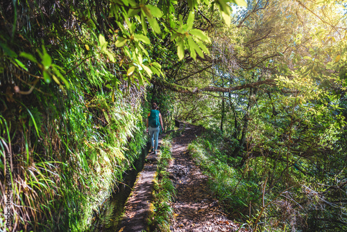 Backpacker toursit hiking on water channnel wall along sunny rainforst trail covered with trees. Levada of Caldeirão Verde, Madeira Island, Portugal, Europe.