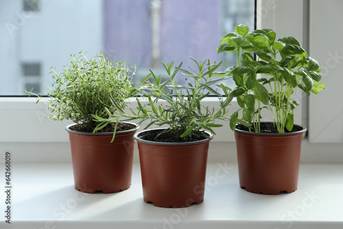 Different fresh potted herbs on windowsill indoors