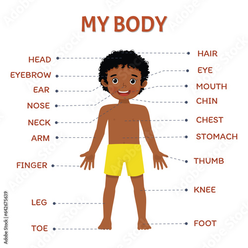 Body part of little African boy anatomy poster with diagram text label chart for kids learning educational purpose