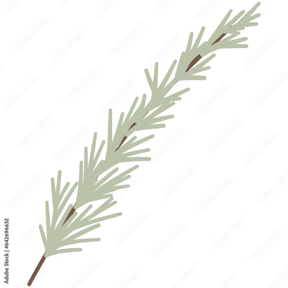 Obraz premium Rosemary Herb Branch 