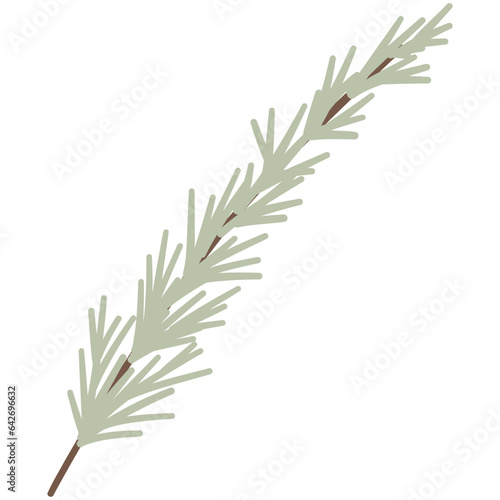 Rosemary Herb Branch 