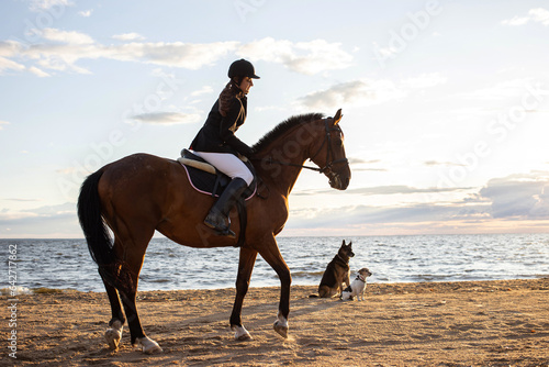 Horsewoman in equestrian sports gear, riding a horse, on the beach, portrait on the background of the sea, horseback riding outdoors