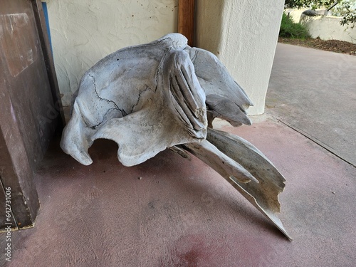 sculpture of a horse