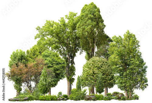 Cutout tree line. Forest and green foliage in summer. Row of trees and shrubs isolated on transparent background. Forest scape. High quality clipping mask
