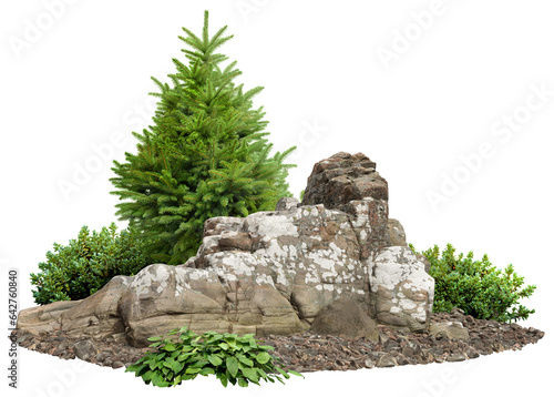 Cutout stones surrounded by fir trees and green plants. Garden design isolated on transparent background. Decorative shrub for landscaping