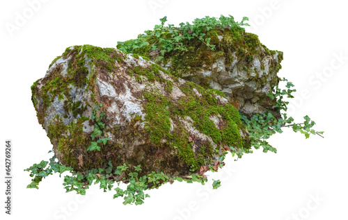 Canvas-taulu Cut out mossy rocks