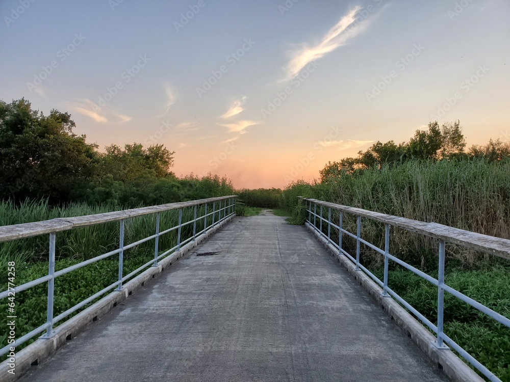 wooden bridge over the river