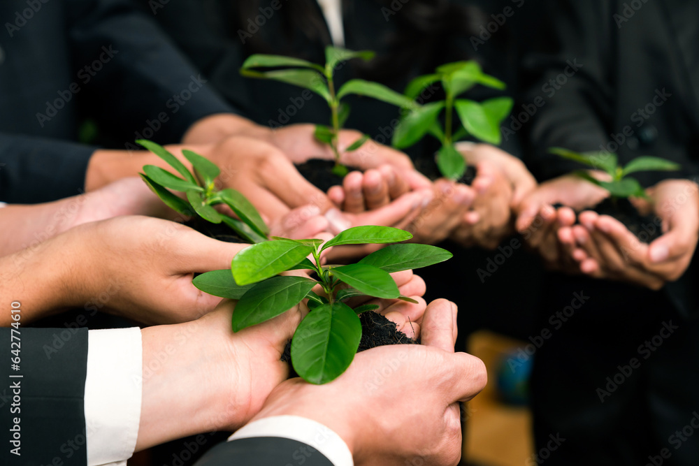 Eco-friendly investment on reforestation by group of business people ...