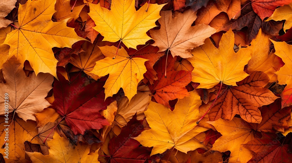 A colorful carpet of fallen leaves on the ground created with Generative AI technology A colorful carpet of fallen leaves on the ground created with Generative AI technology