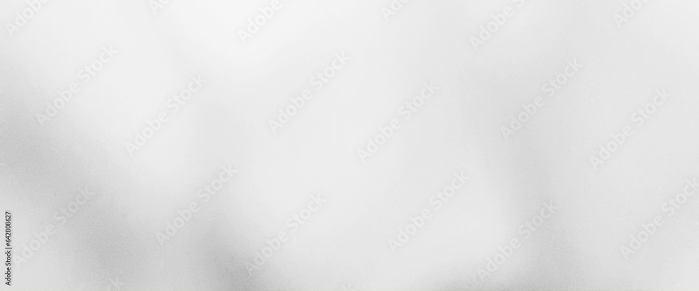 Light white bokeh nature background, white grey soft light background, abstract trendy color gradient texture background. Light white bokeh nature background, white grey soft light background, abstract trendy color gradient texture background.