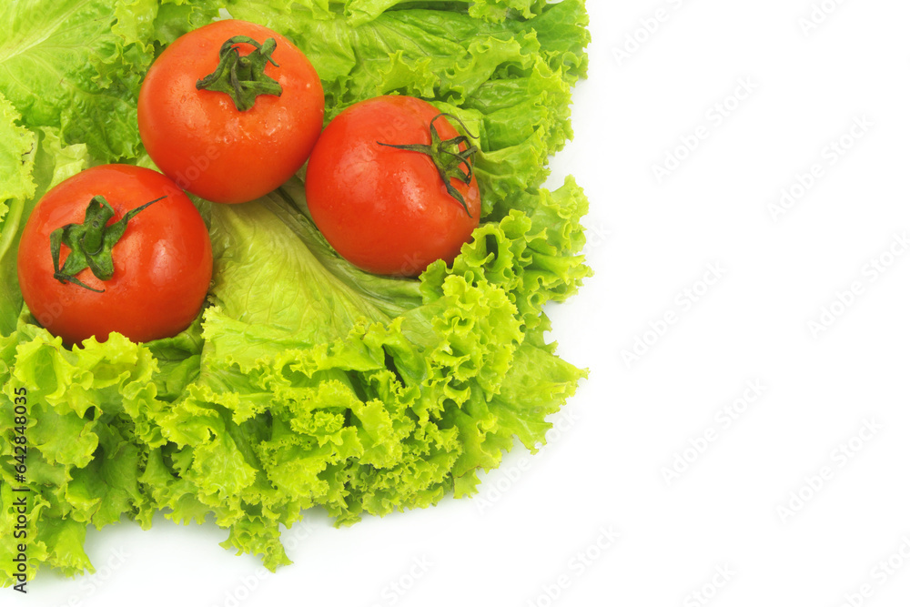 Three fresh tomatoes on salad leaves isolated on white background.
