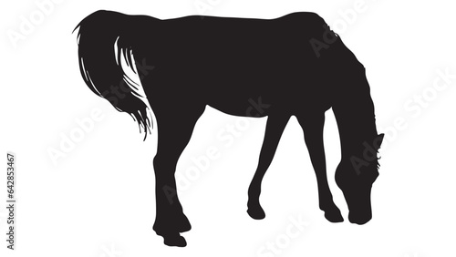 Black silhouette of horse, Beautiful horse vector design, rearing up horse, Horses silhouette vector illustration, horse vector